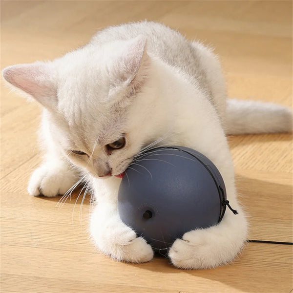 Battery-Operated-Interactive-Cat-Toy-Ball-With-Tracking-Mouse-Automatic-Rolling-Teaser-For-All-Breeds.jpg